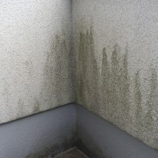 la00015224個別画像 (17)