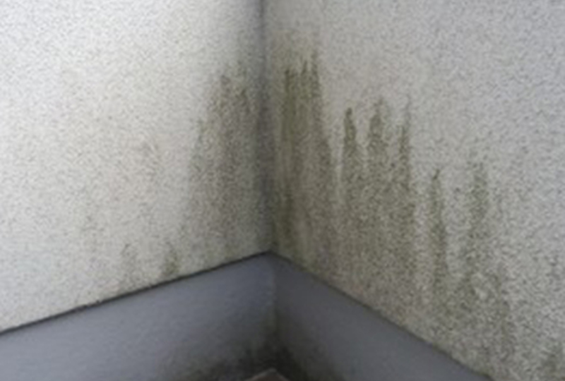 la00015224個別画像 (17)